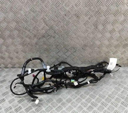 Tesla Model Y Other wiring loom 248904802B