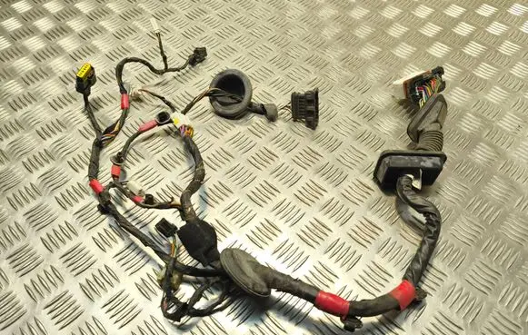 Hyundai Sonata Front door wiring loom 916003K130 919803K030