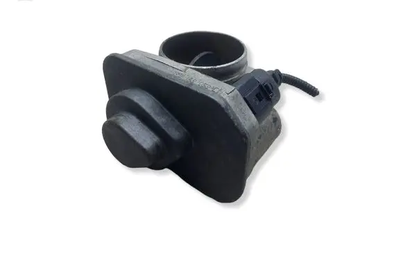 Volkswagen Golf IV Throttle valve 038128063CKASACJ 038128063C