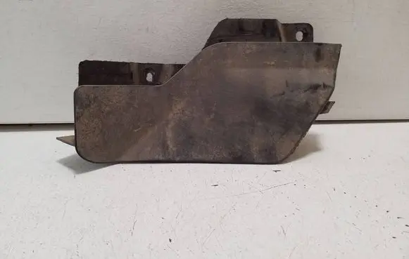 Cupra Born Rear mudguard 10A854856B