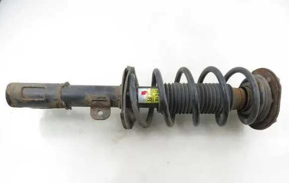 Chevrolet Captiva Front shock absorber with coil spring 95480032