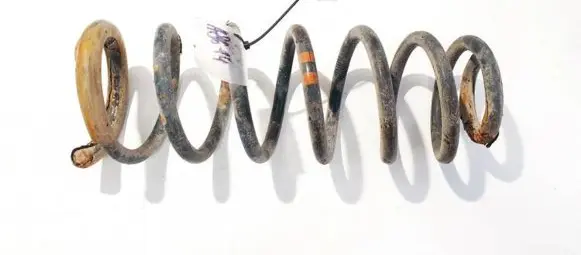 Citroen Jumpy Rear coil spring