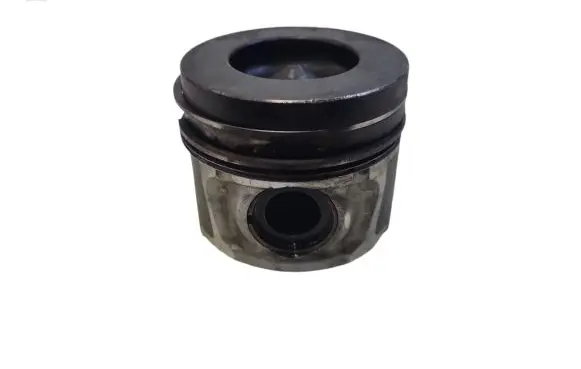 Opel Antara Piston 