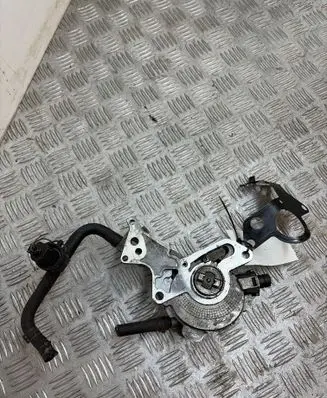Skoda Roomster (5J) Fuel injection high pressure pump 038145209H