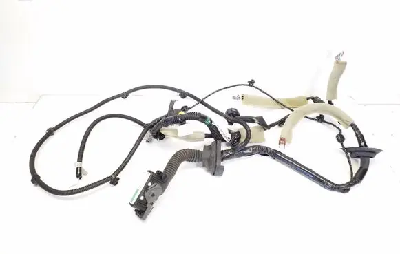 Front door wiring loom