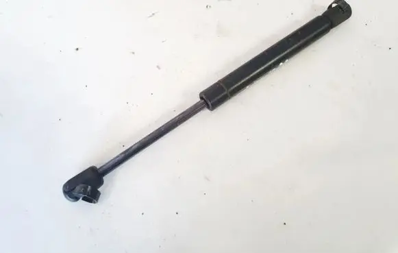Tailgate/trunk strut/damper