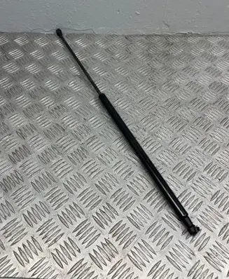 Nissan Juke I F15 Tailgate/trunk strut/damper 904511KA1B