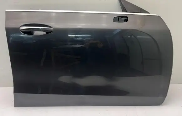 Mercedes-Benz CLS W257 Front door LEWE