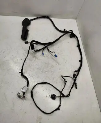 BMW X1 F48 F49 Front door wiring loom 879755101