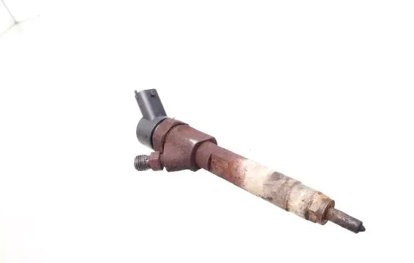 Renault Scenic II - Grand scenic II Fuel injector 8200100272 0445110110 0445110110B
