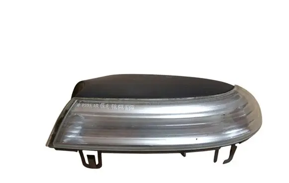 Volkswagen PASSAT B6 Mirror indicator light 