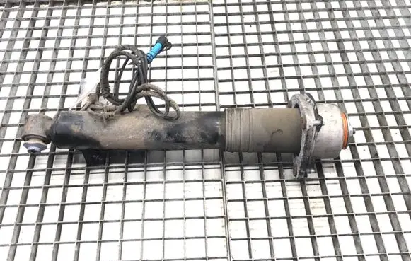 BMW X6 E71 Rear shock absorber/damper 6785406