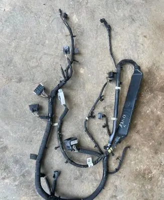 Other wiring loom