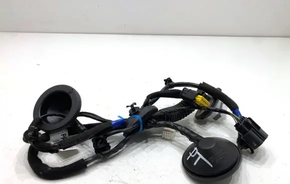 Hyundai i30 Rear door wiring loom 91660G4060