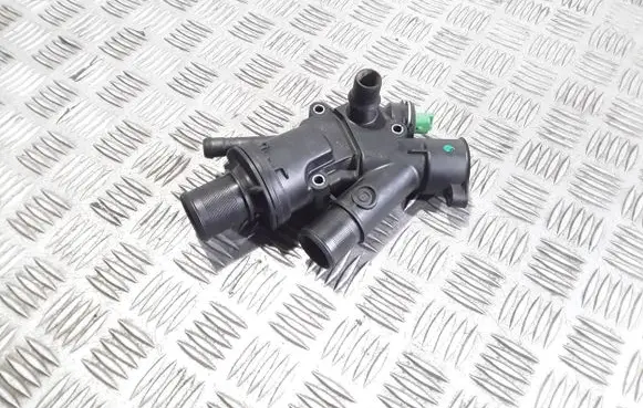 Thermostat/thermostat housing