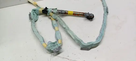 Toyota Prius (NHW20) Roof airbag 