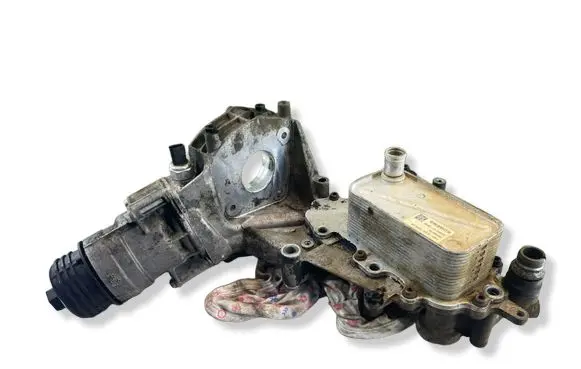 Opel Insignia A Engine oil radiator 55495019