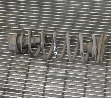 Nissan Qashqai Rear coil spring