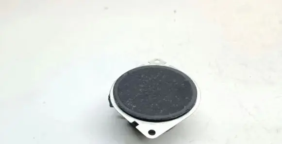 Panel speaker