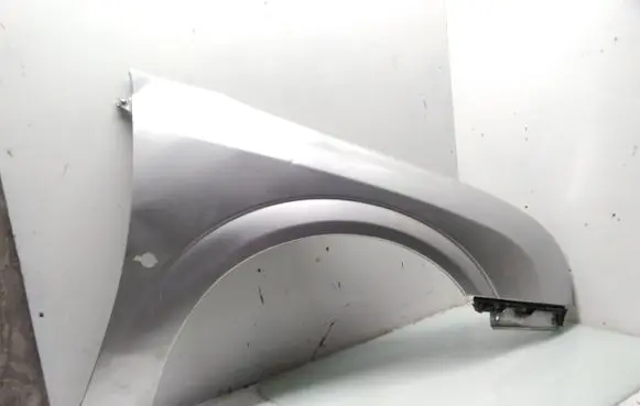 Opel Signum Fender