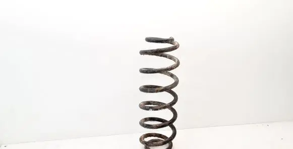 Volkswagen PASSAT B6 Rear coil spring