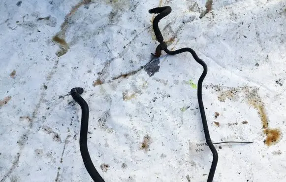 Mitsubishi Outlander Power steering hose/pipe/line