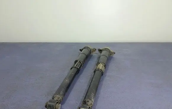 Skoda Kodiaq Rear shock absorber/damper 5Q0513425J