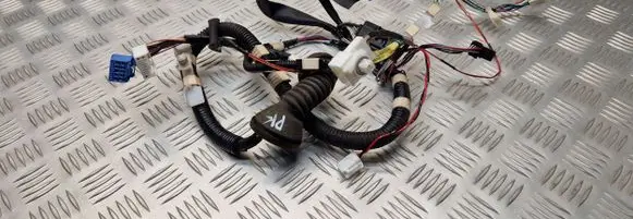 Lexus RX 330 - 350 - 400H Front door wiring loom 8215248230