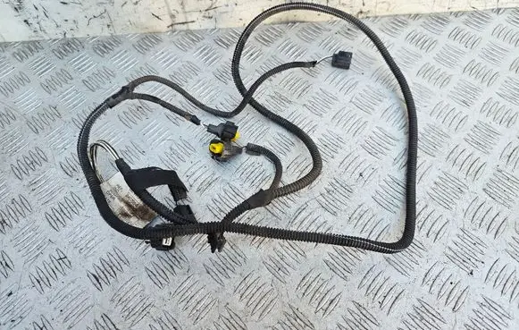 Other wiring loom