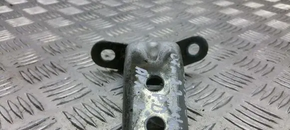 Hyundai Santa Fe Front door lower hinge 