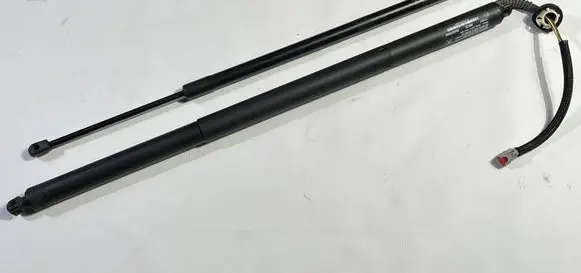 Chrysler Pacifica Tailgate/trunk strut/damper 68455759AA