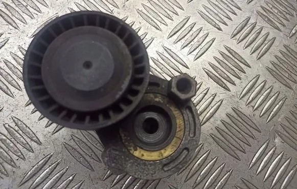 Renault Megane II Alternator belt tensioner pulley 8200371058