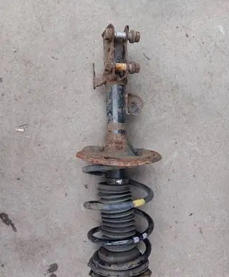 Toyota RAV 4 (XA40) Front shock absorber/damper 4852042361
