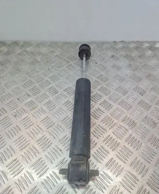 Rear shock absorber/damper