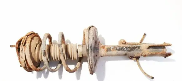 Toyota RAV 4 (XA20) Front shock absorber/damper