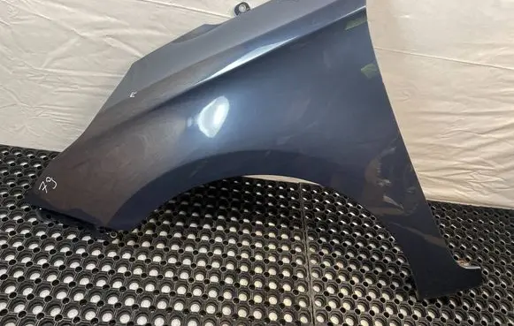 KIA Carens III Fender