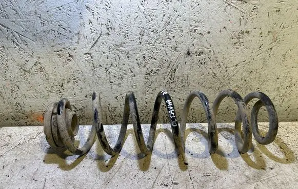 Rear coil spring