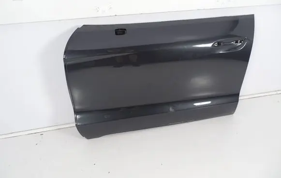 Porsche Taycan 9J1 Front door 9J1831193