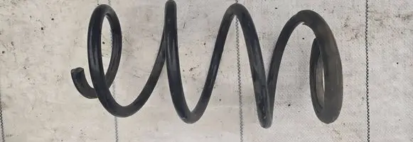 Rear coil spring