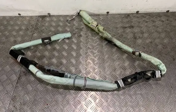 Hyundai Santa Fe Roof airbag 80420S2000
