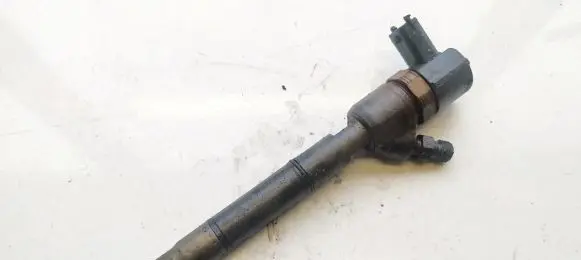 Hyundai i30 Fuel injector 0445110320 33800-2A900