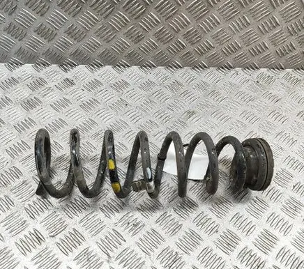 Rear coil spring