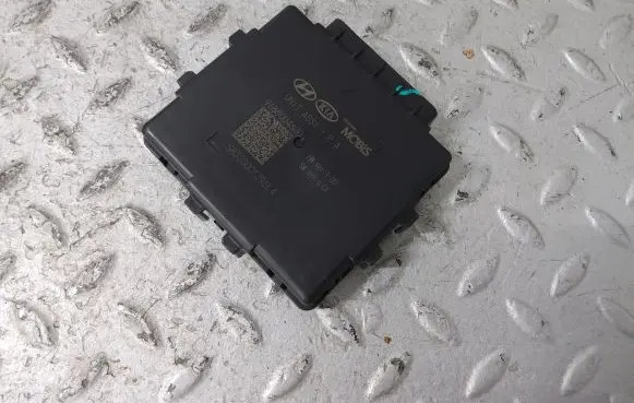 KIA Optima Other control units/modules 96880D4600