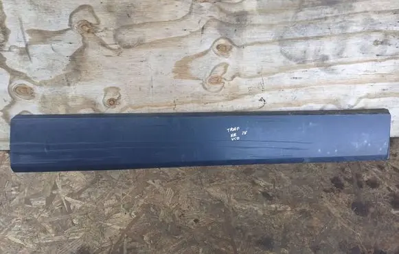 Renault Trafic III (X82) Rear door trim (molding) 93867912 93867929