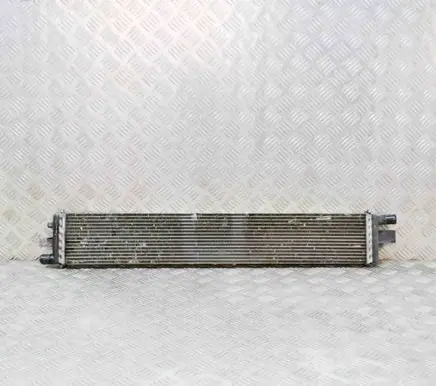 Renault Master III Coolant radiator T1077004 214C10001R