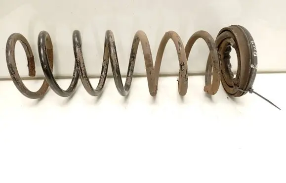 Ford Focus Rear coil spring AV615599DD