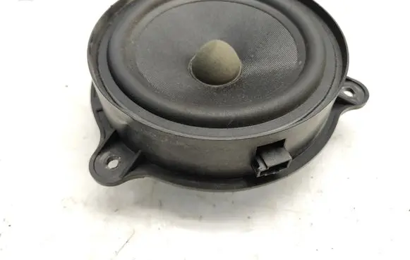 Rear door speaker