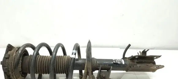 Nissan Qashqai Front shock absorber with coil spring 54302BR04A