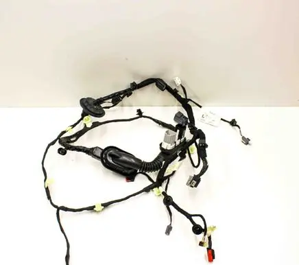 Front door wiring loom