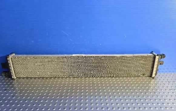 Renault Master III Coolant radiator 214C10001R